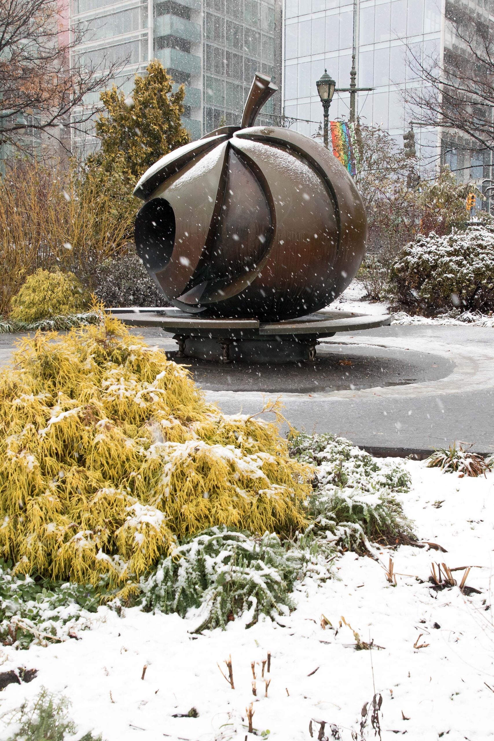 Snow blankets the bushes in the Apple Garden