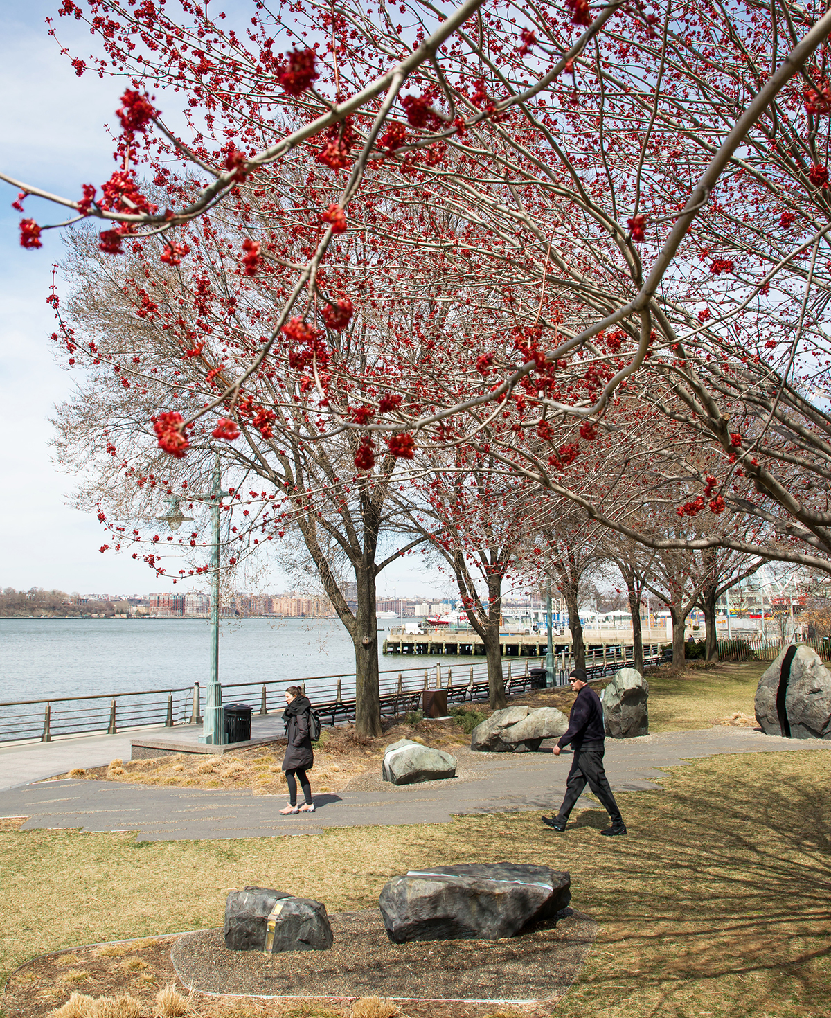 red maple greenwich village