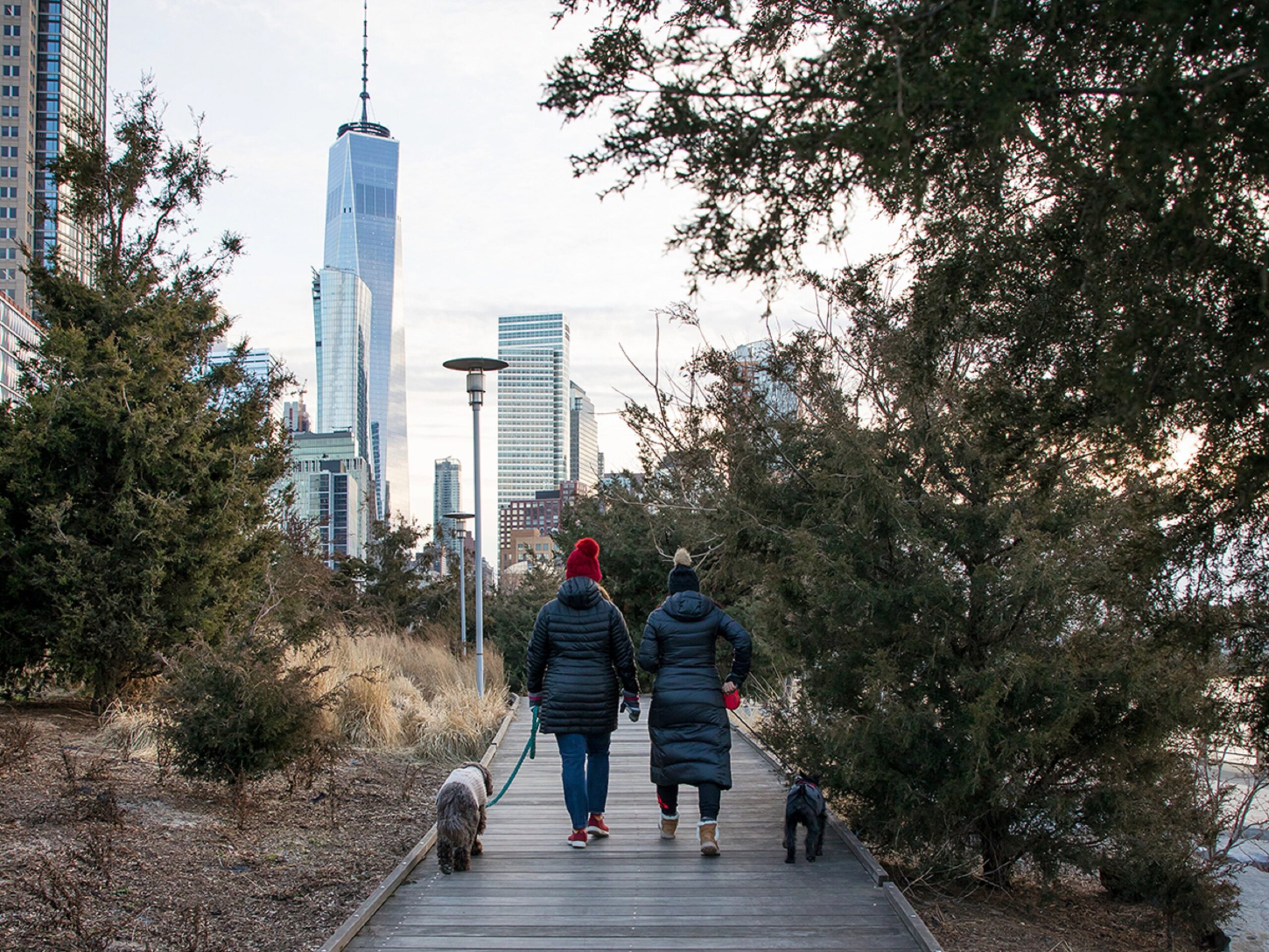 tribeca boardwalk