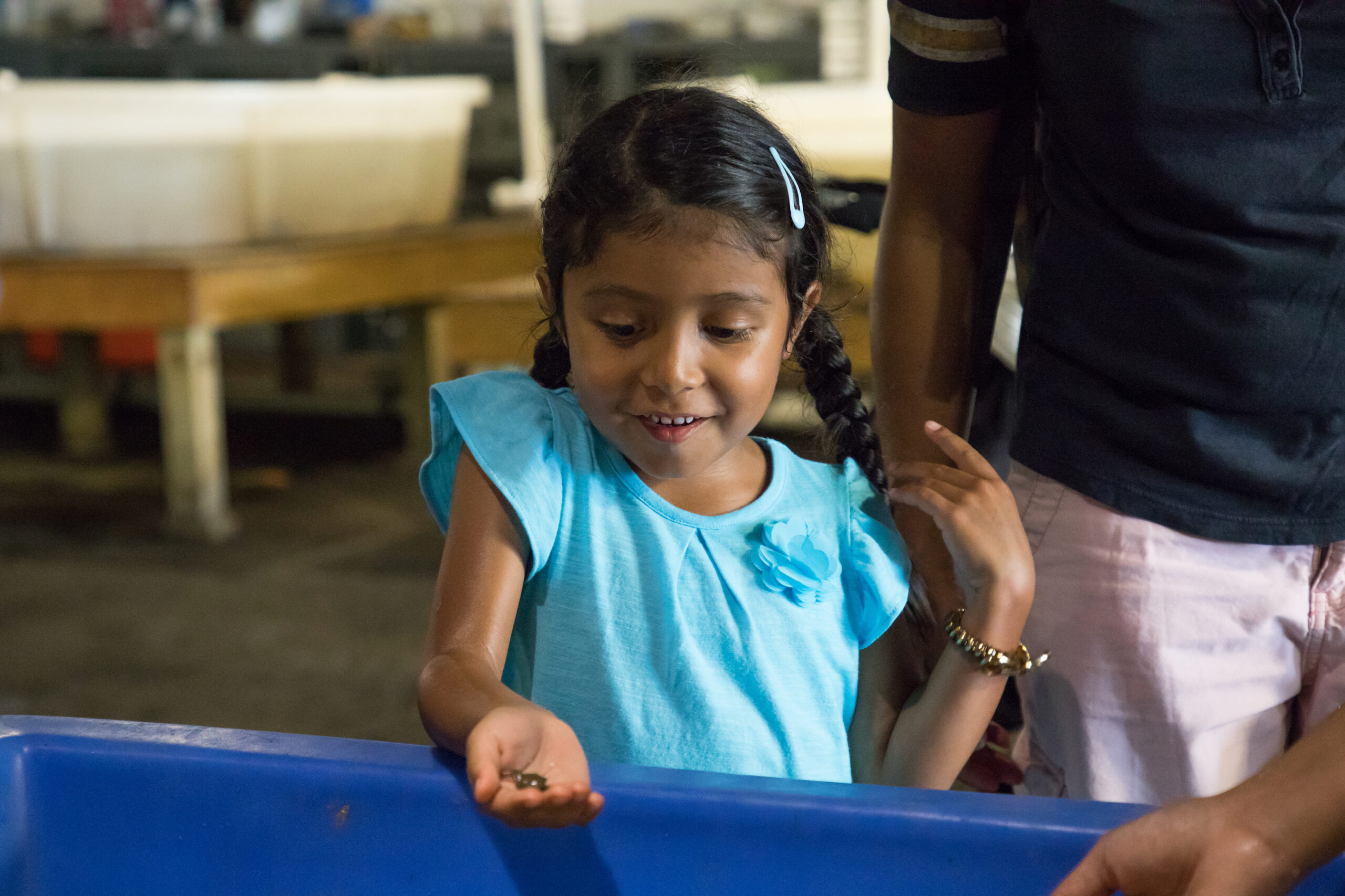 STEM discovery at HRPK's science programs