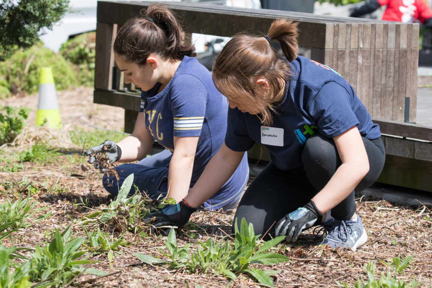 Volunteers garden at the tribeca boardwalk