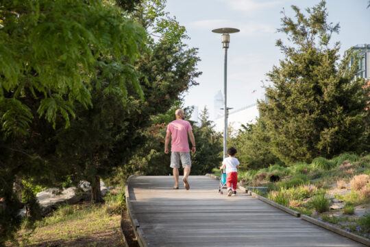 Discover Your Park Website