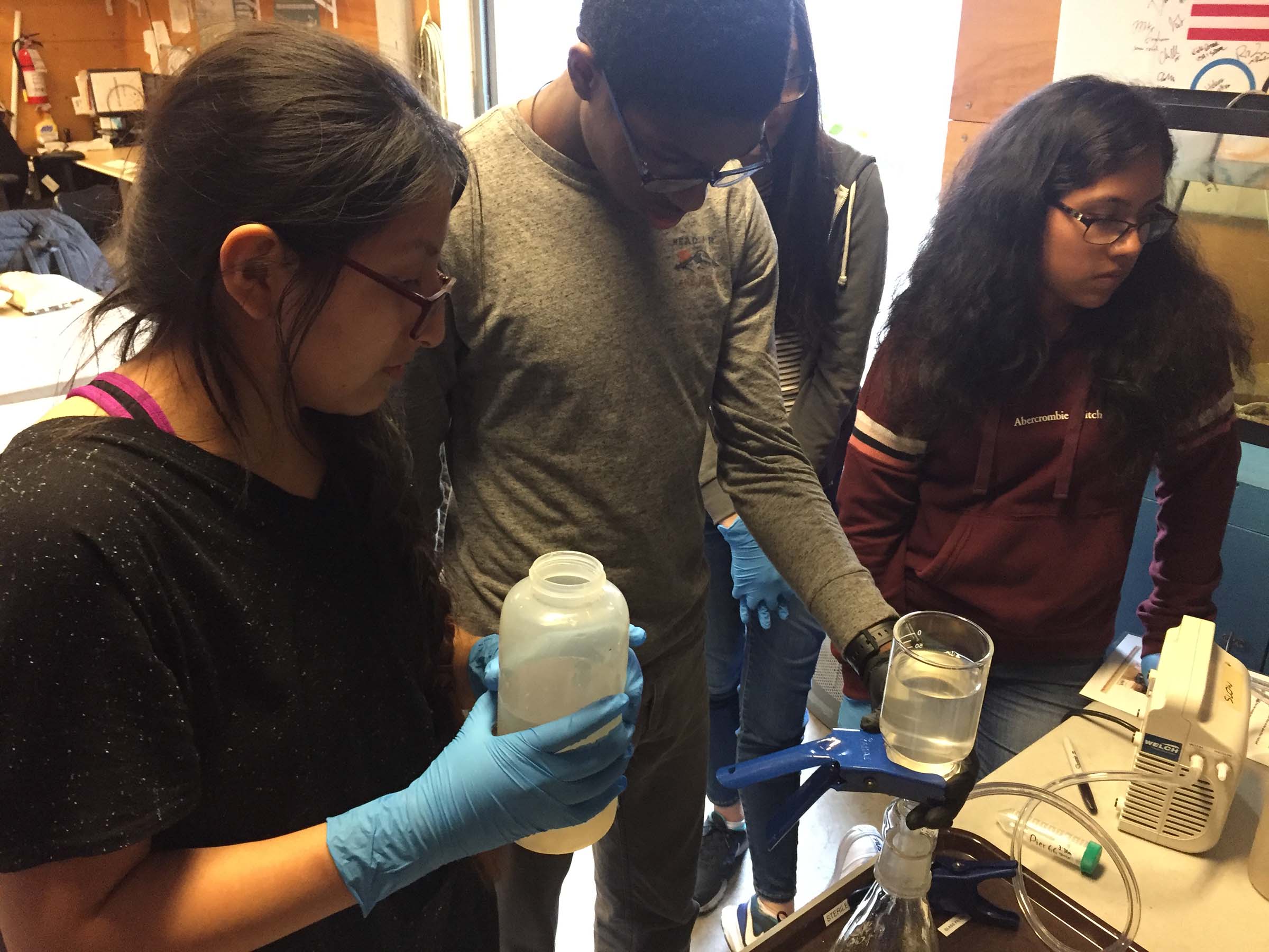 A group of students learning about water density
