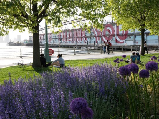 Park visitors enjoy lounging on the lawns in Tribeca in Hudson River Park