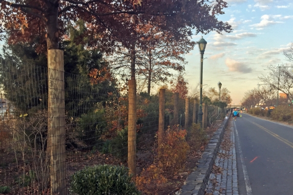 Red and brown leaves align the bikeway in Hudson River Park