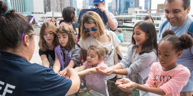 Hudson River Park educators help students learn about the marine life in the river