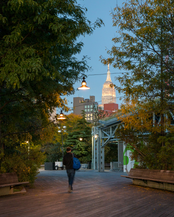 Sun sets on manhattan but the foliage from the trees still glimmer gold