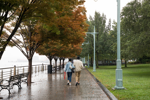 The wet esplanade shimmers as the red and gold leaves fall from the trees