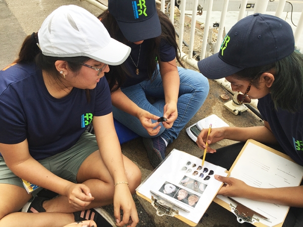 The Estuary Lab team looks over the research found in the Hudson River