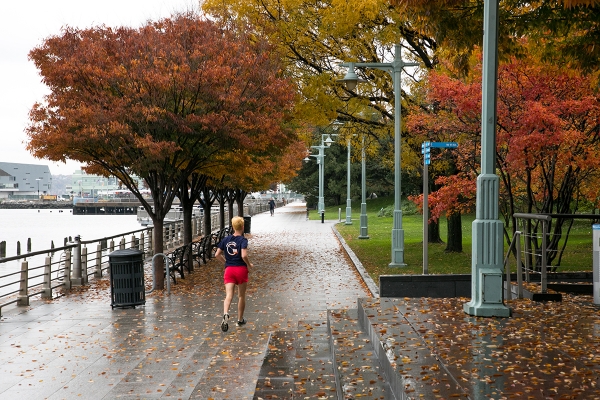 A myriad of fall colors of red, yellow and orange hang on the trees in Hudson River Park