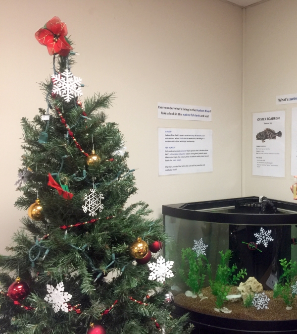 A holiday tree sits next to the Hudson River Park Trust's fish tank