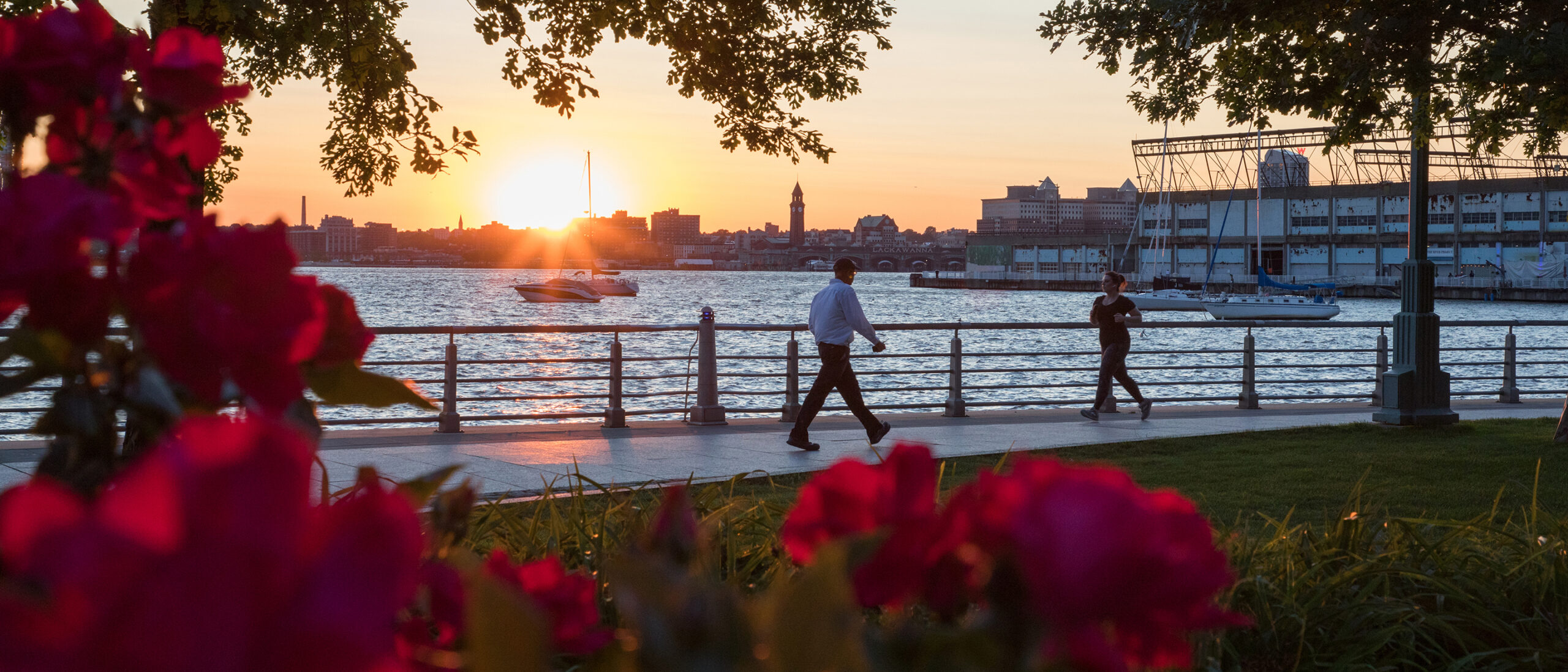 Red flowers and the river as the sun sets