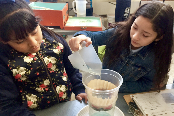 Two students researching with Hudson River Park educators