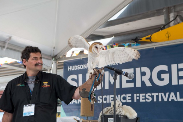A white and brown owl flaps its wings showing off to the visitors at Submerge