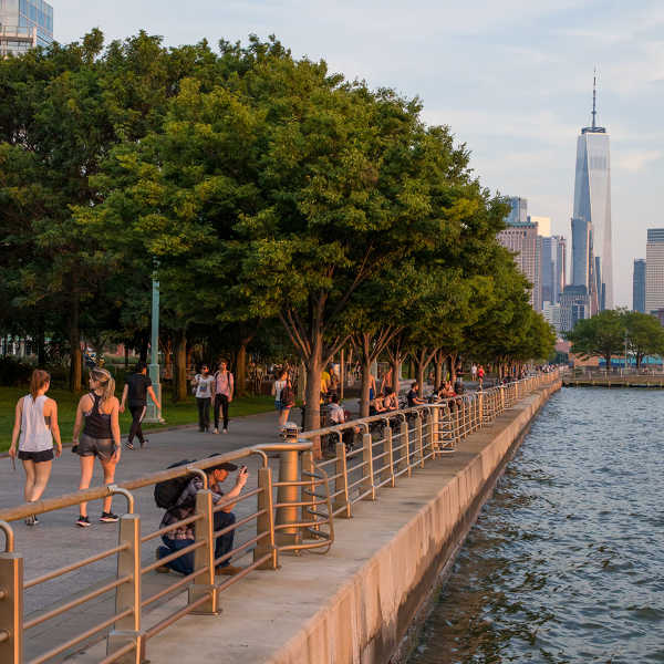 The esplanade during sunset with green leaves moving in the wind