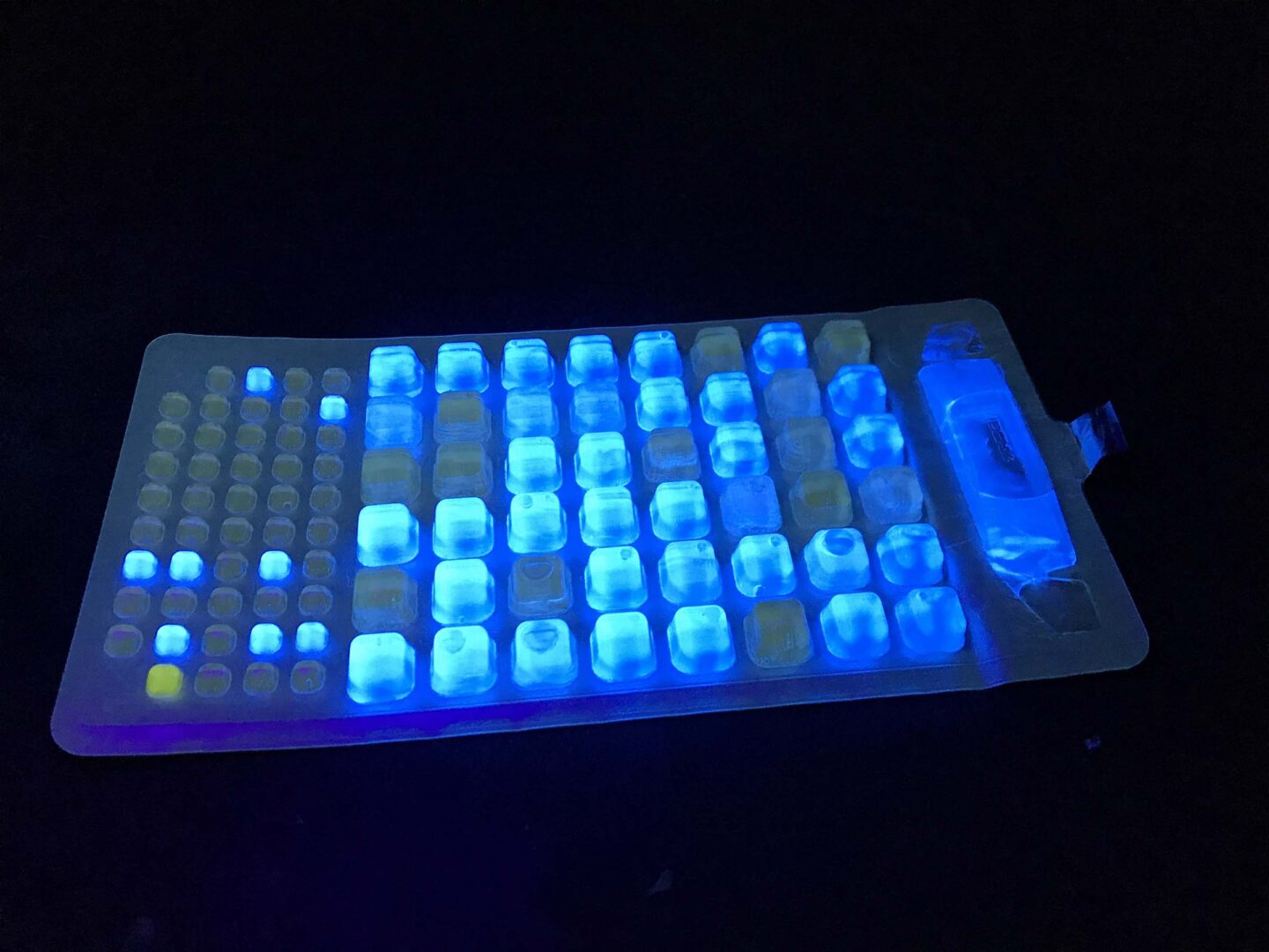 Specimens lit up under blue lights
