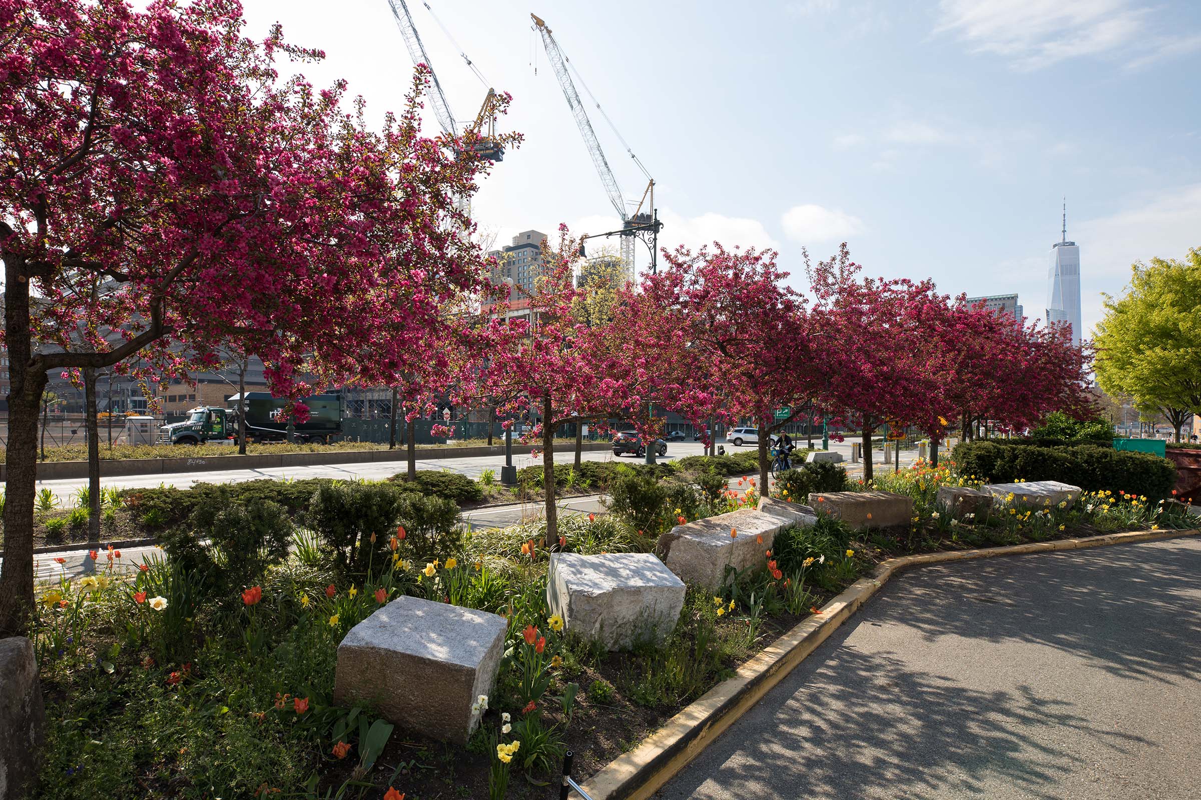 The red blossoms of the crabapples line the bikeway