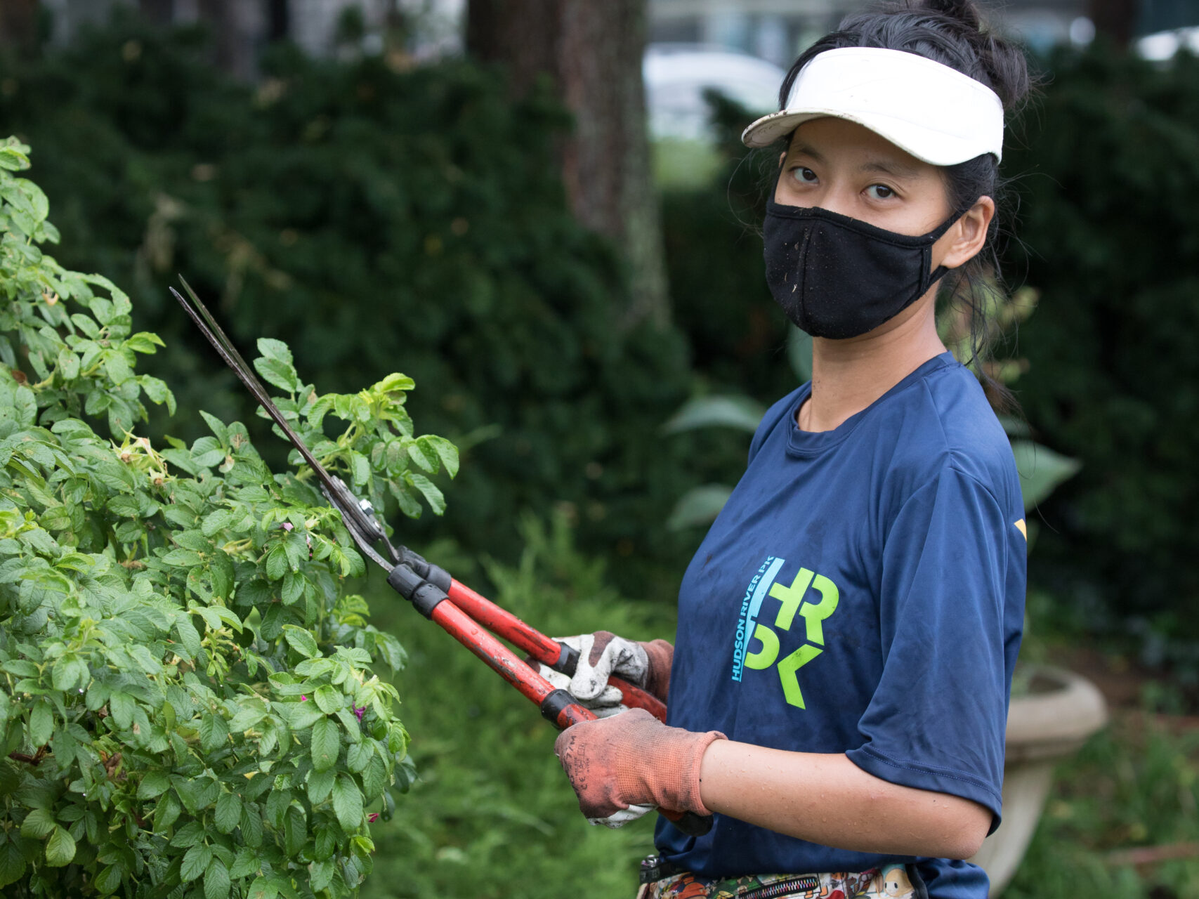 Volunteer 2020 victoria kam