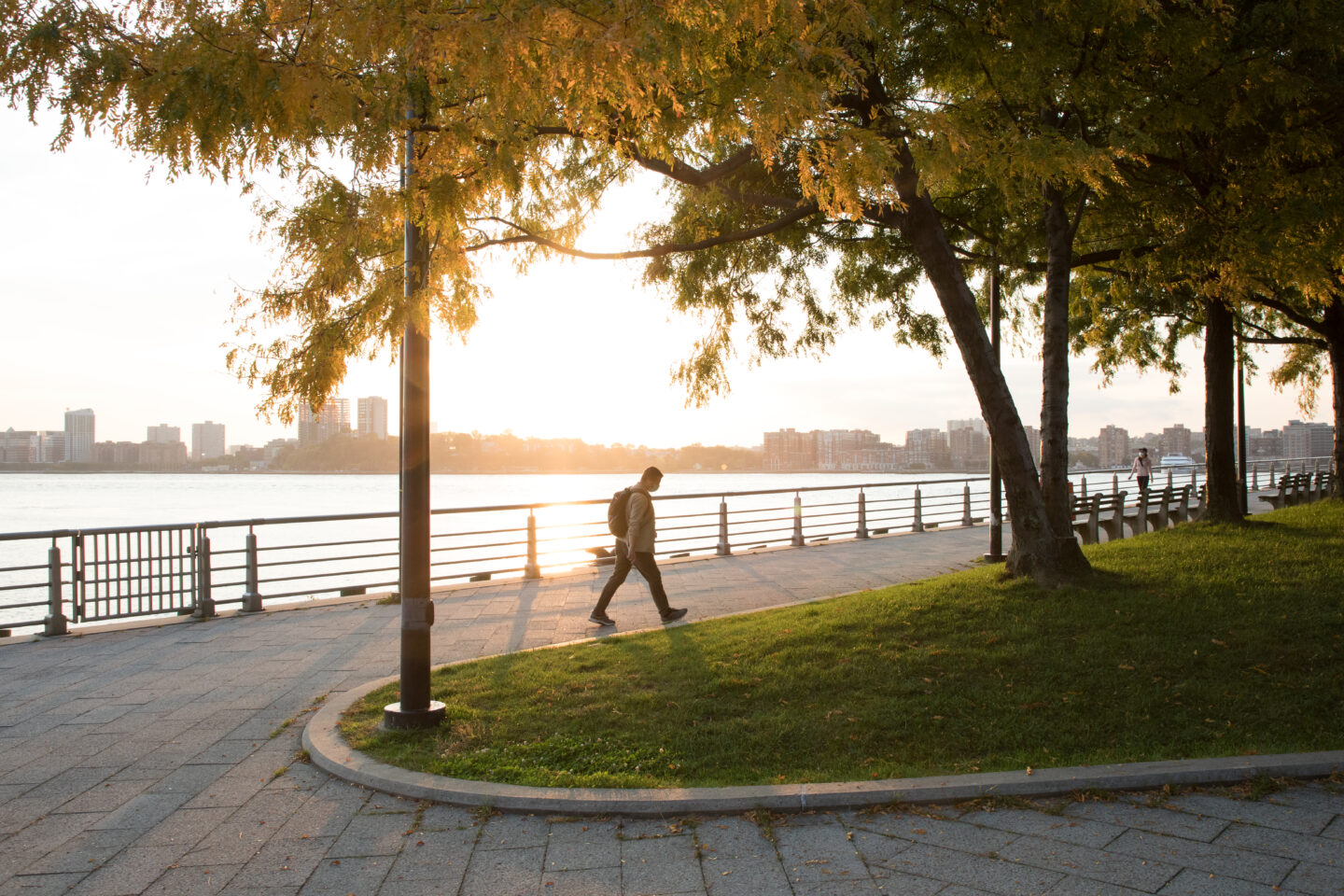 Pier 64 fall golden leaves