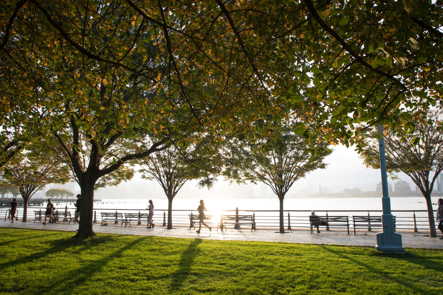 Greenwich Village fall leaves lawn sunlight