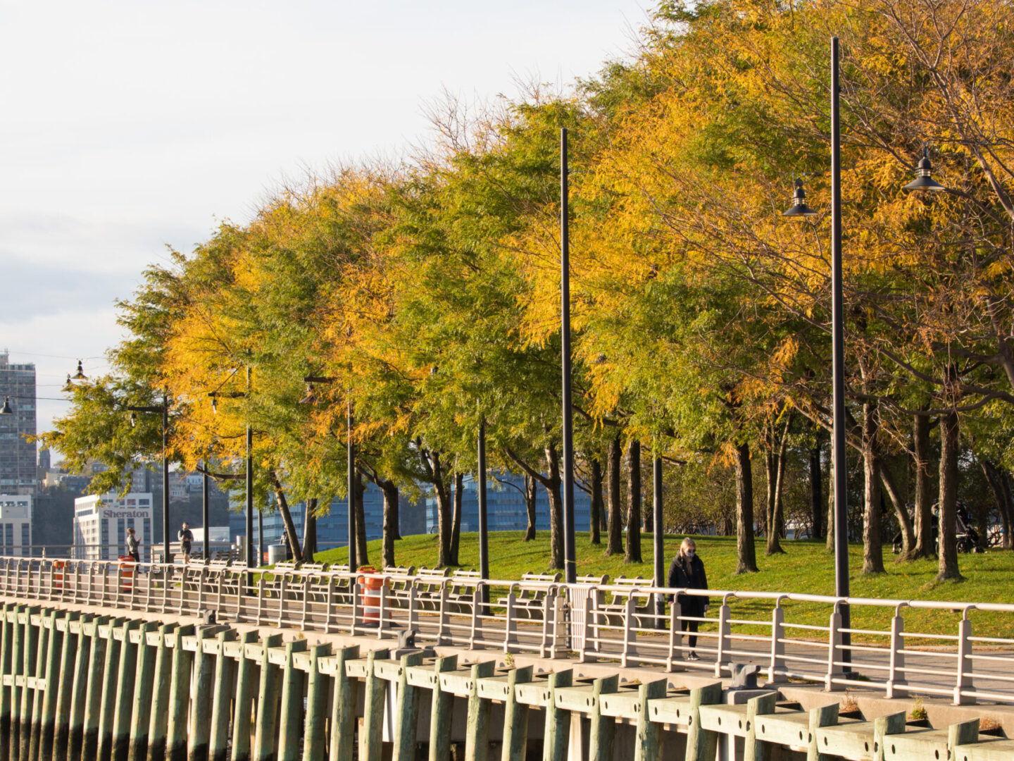Pier 64 fall foliage side view 2020