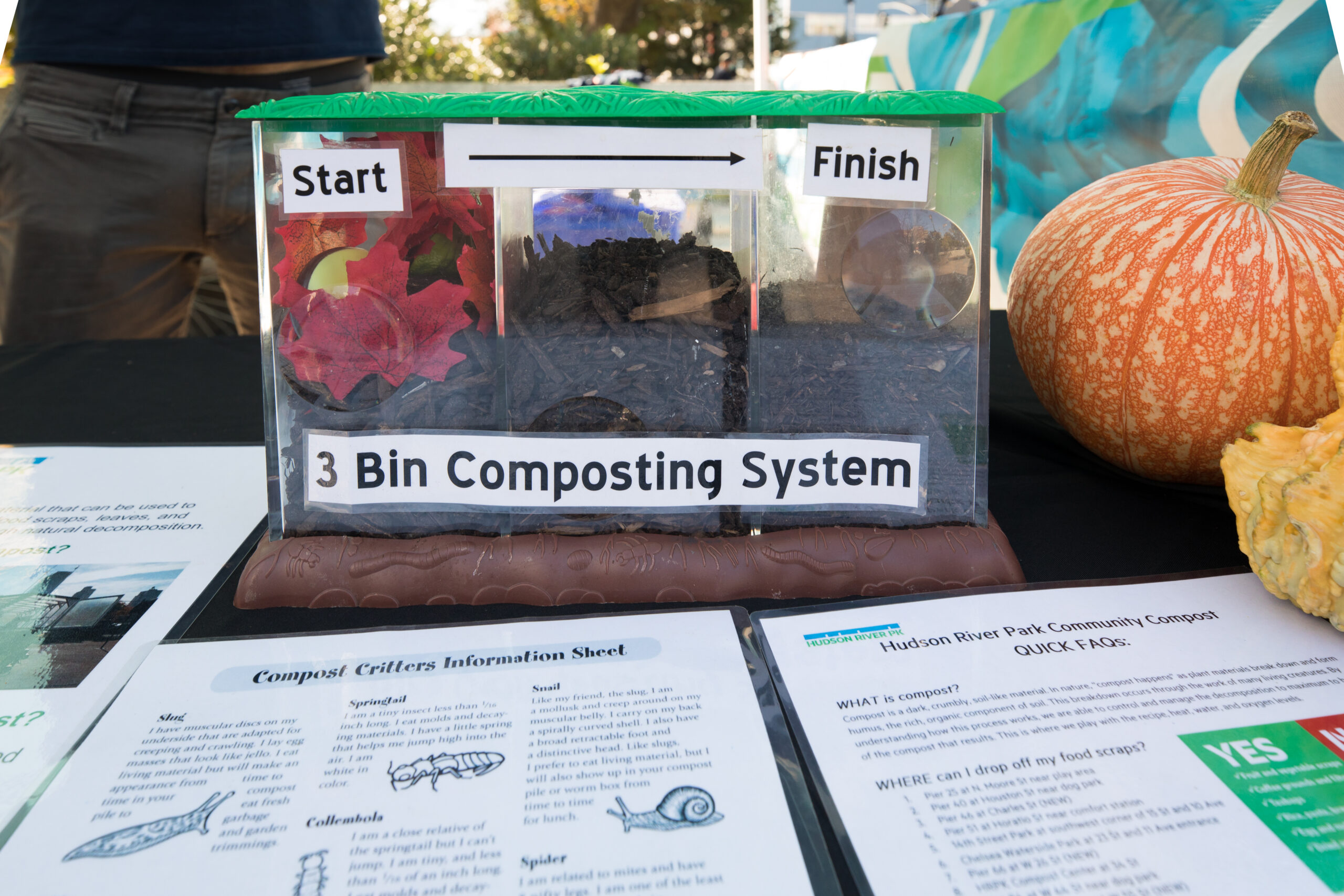 A clear bin with three sections showing how plants and other organic matter turn into compost