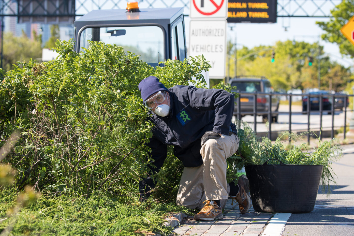 gardening in bikeway median
