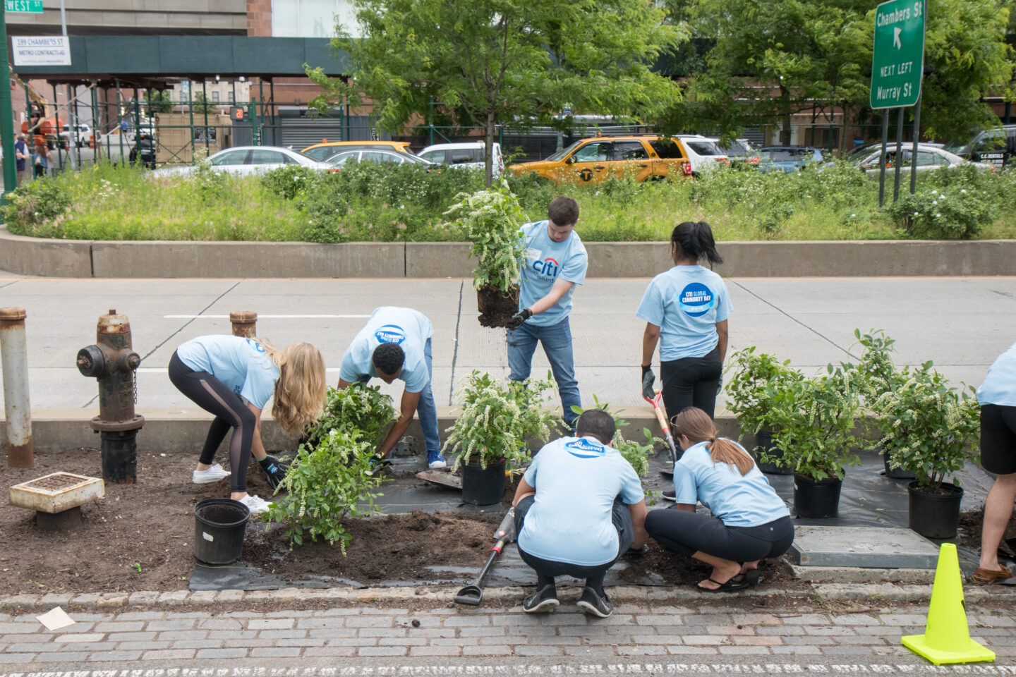 Citi volunteers at HRPK on Citi Global Community Day