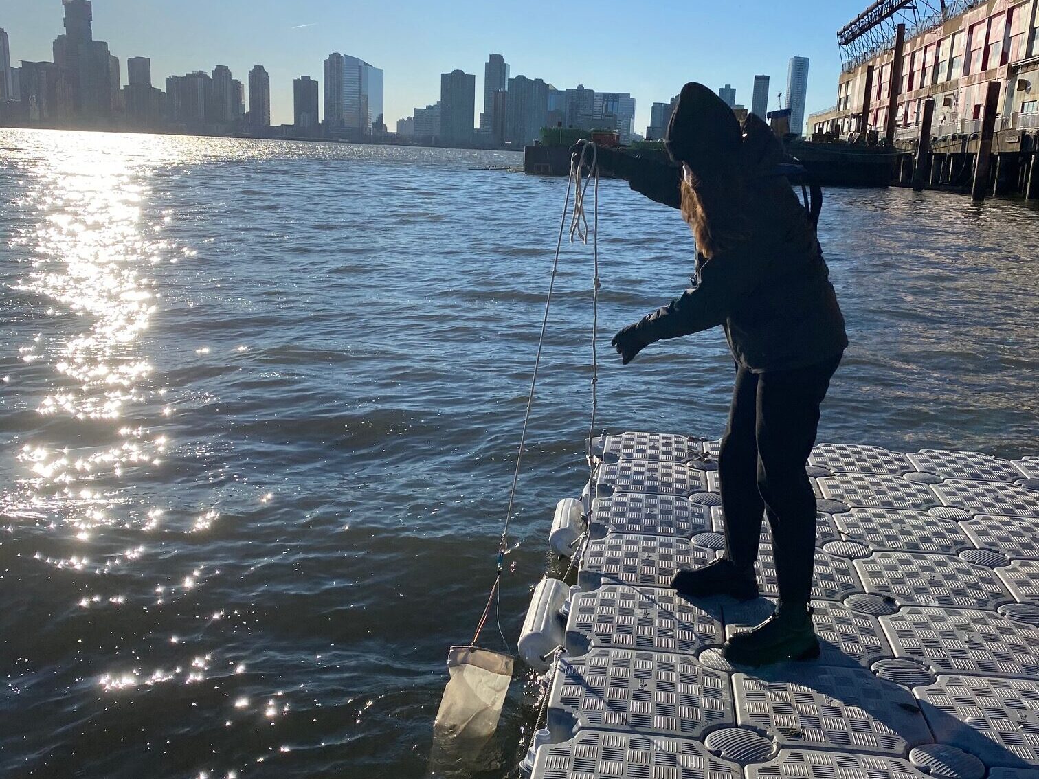 plankton blog trowl floating dock