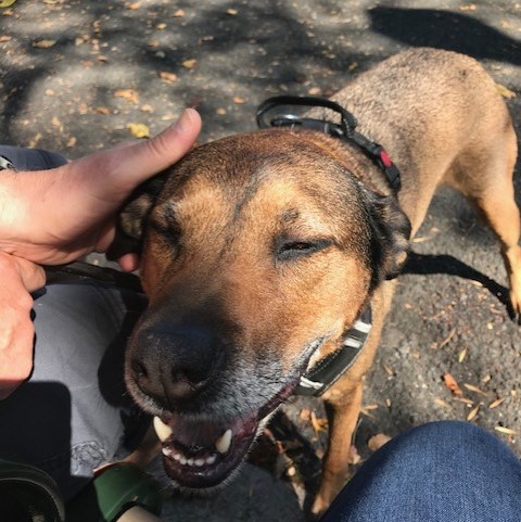 Winston - mix