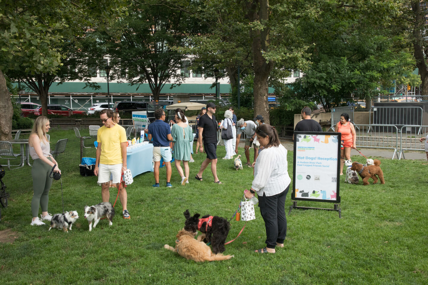 dog event