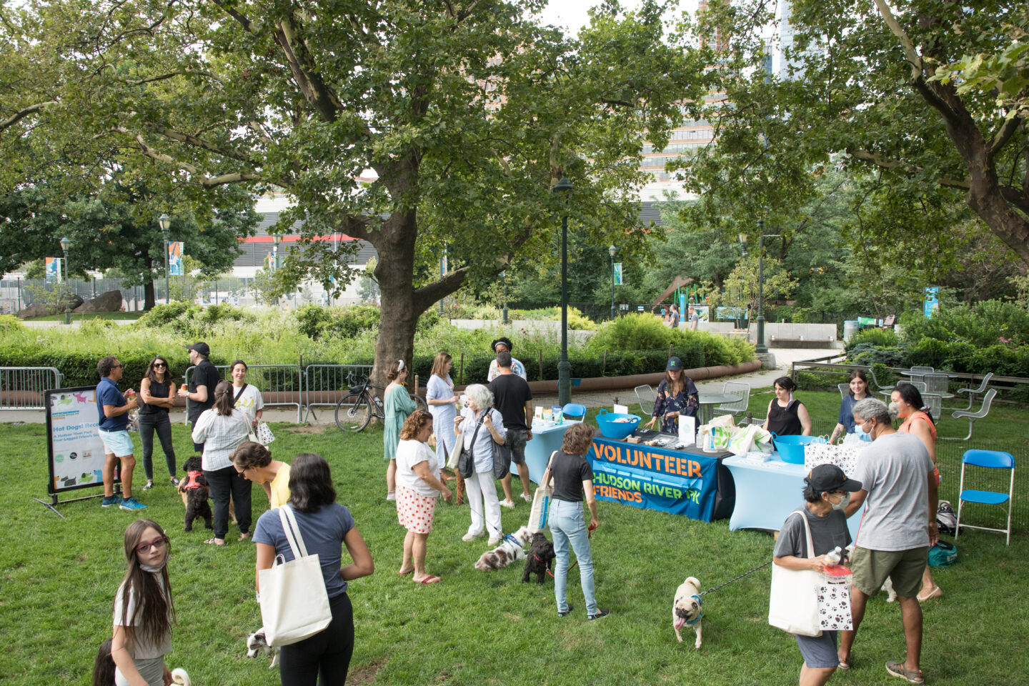 friends dog event people and dogs mingling in Chelsea Waterside