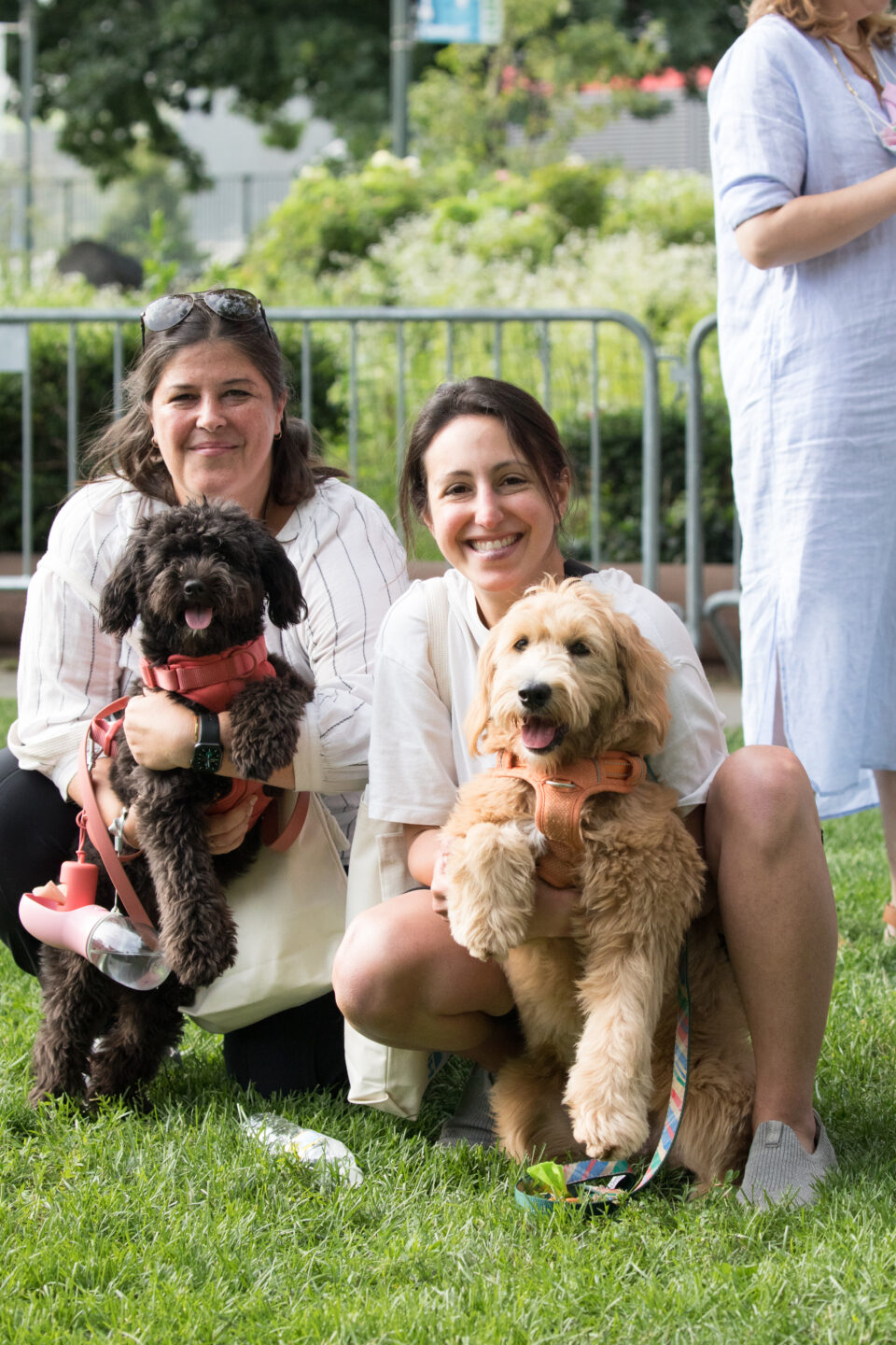 dogs and owners at chelsea waterside dog reception