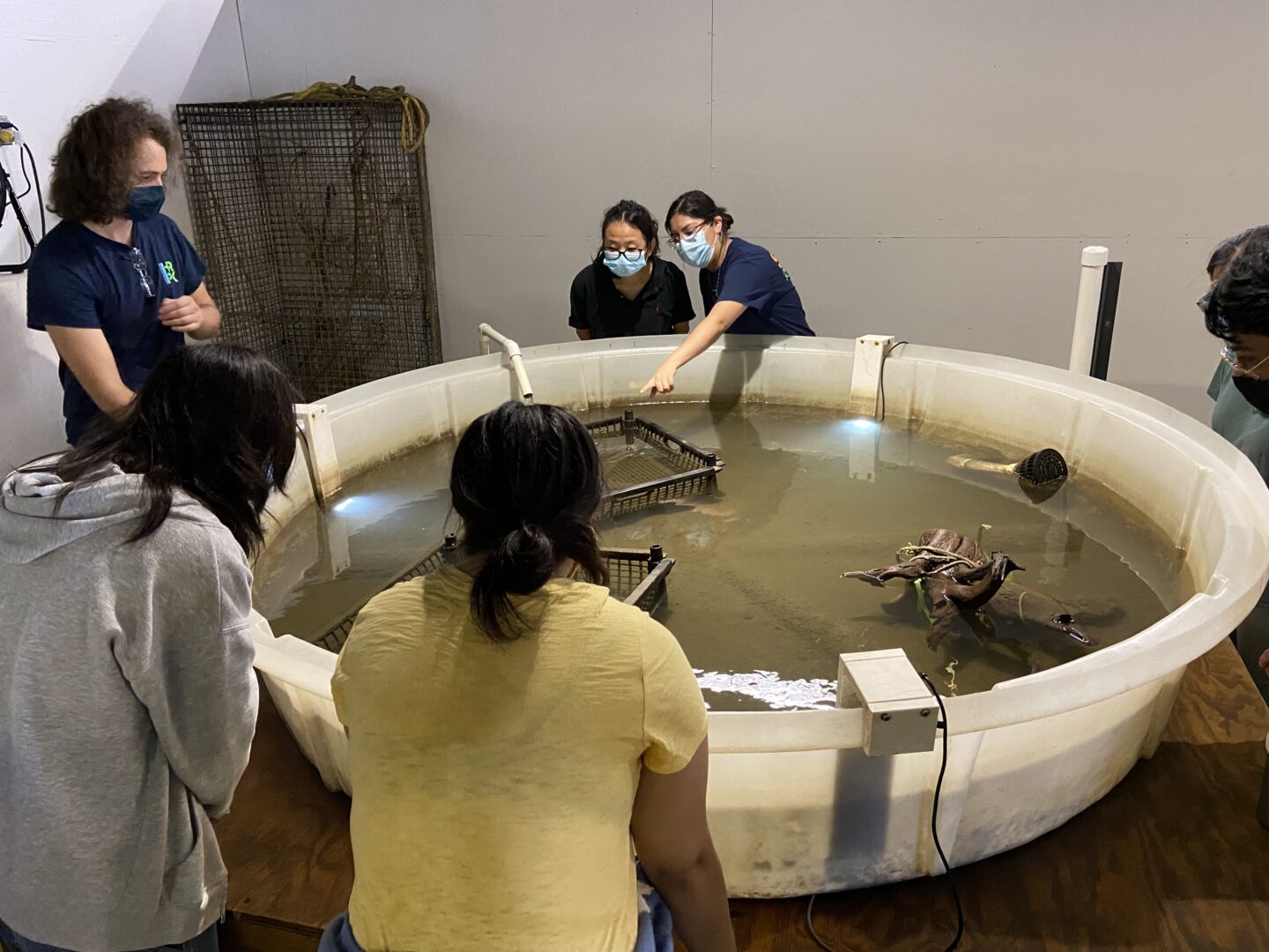 includes interns in wetlab