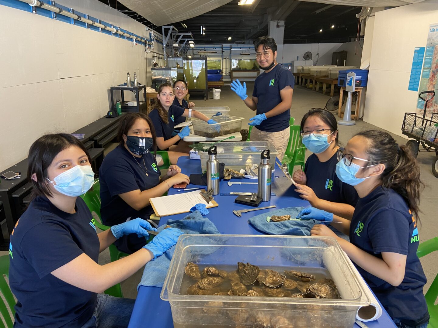 includes interns measuring oysters