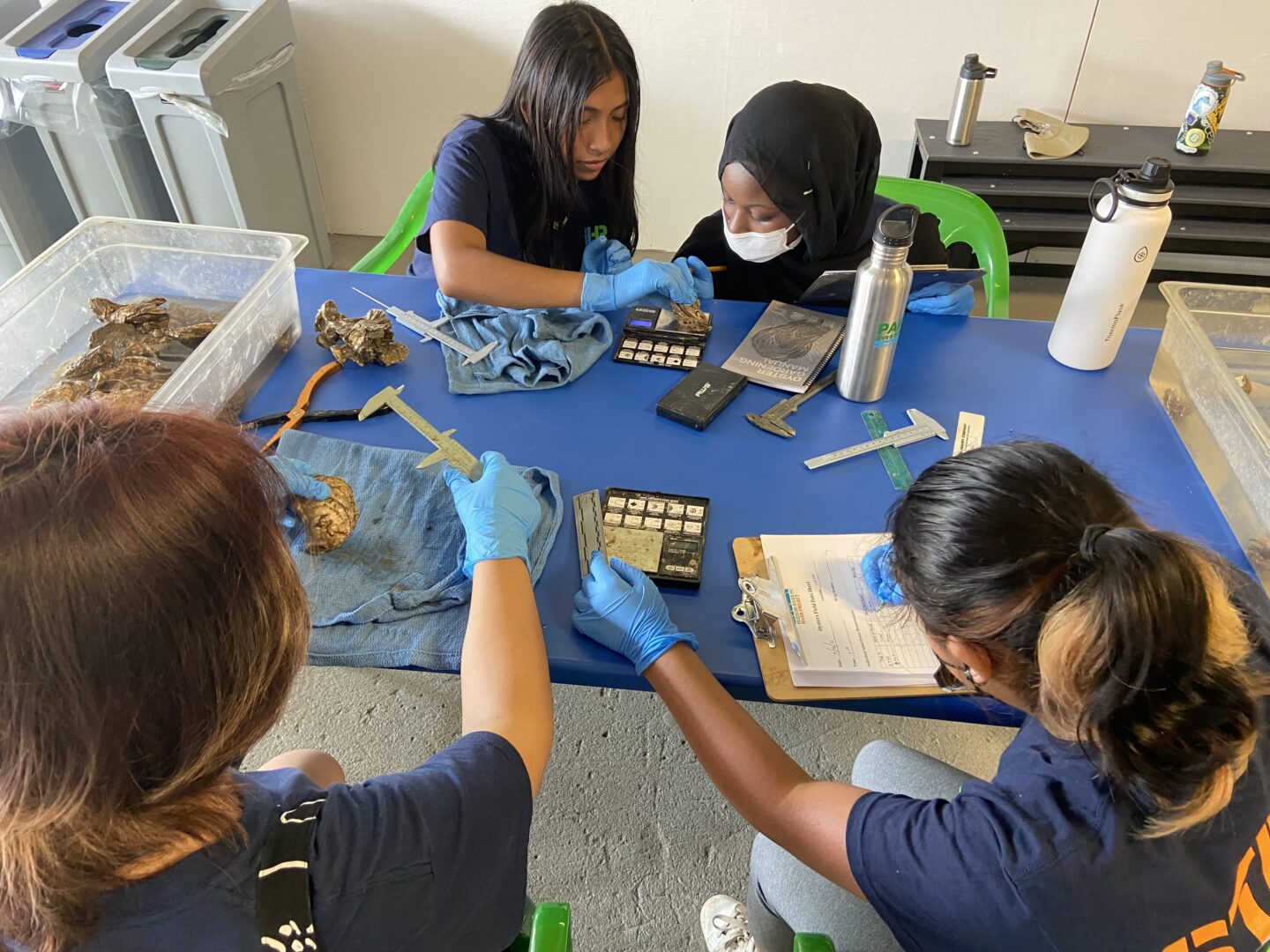 includes interns measuring oysters