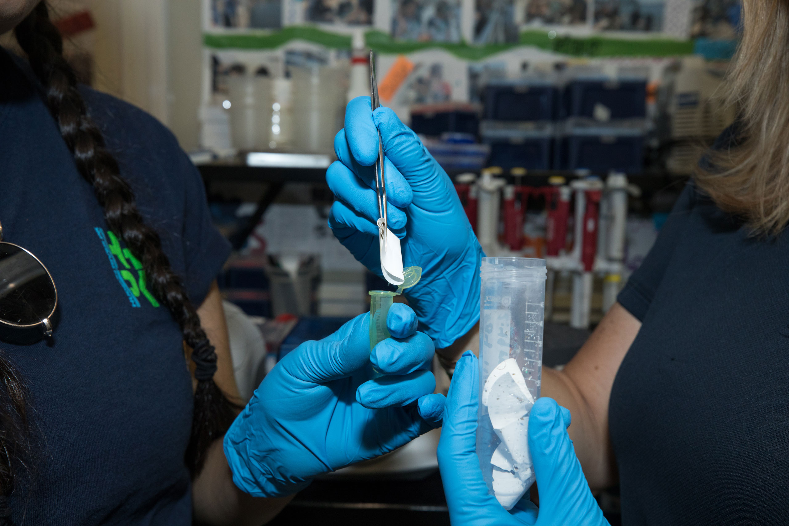 Scientists collect and test samples of environmental DNA to study Hudson River Park local fish dynamics.