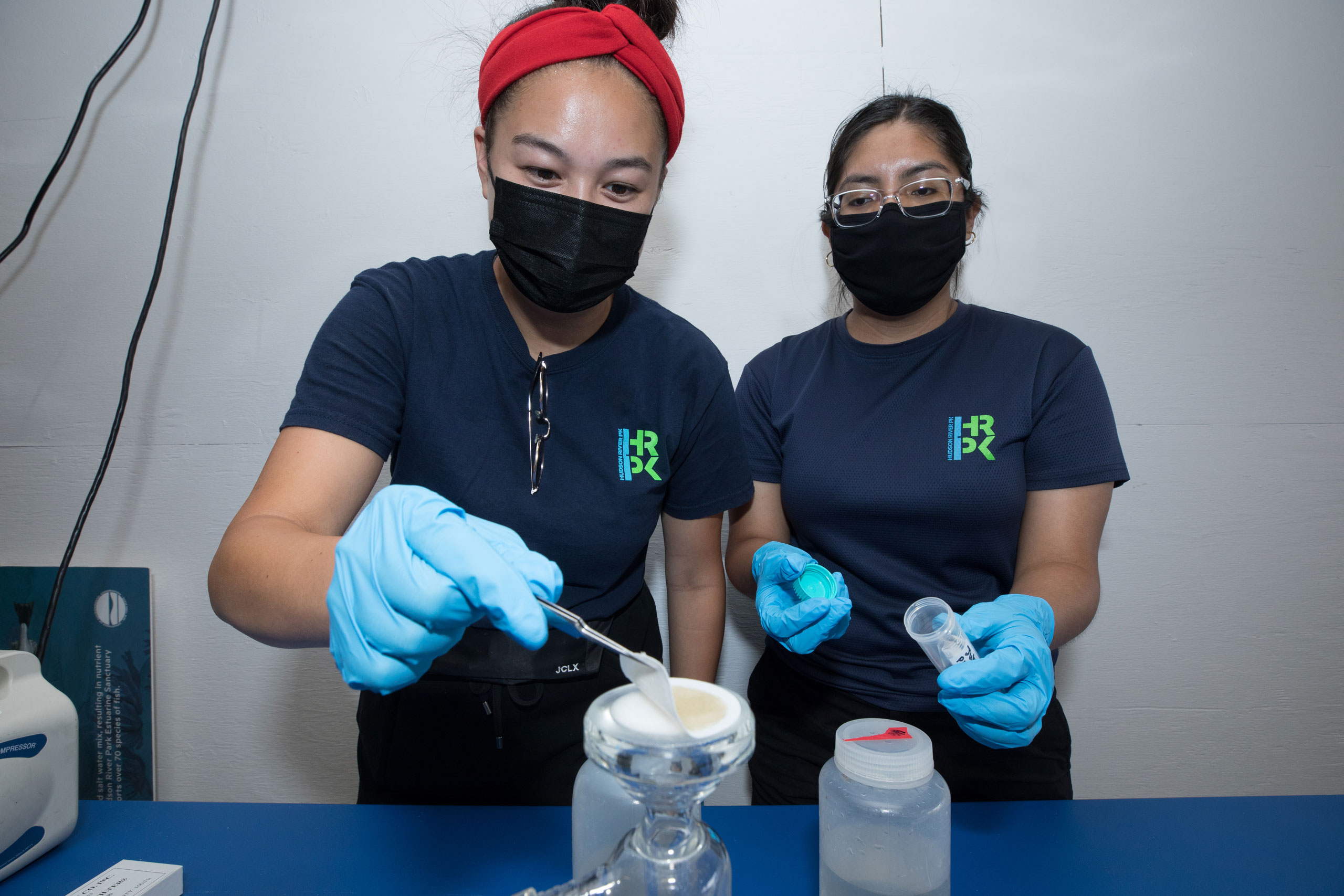 Scientists test samples of environmental DNA to study Hudson River Park local fish dynamics.