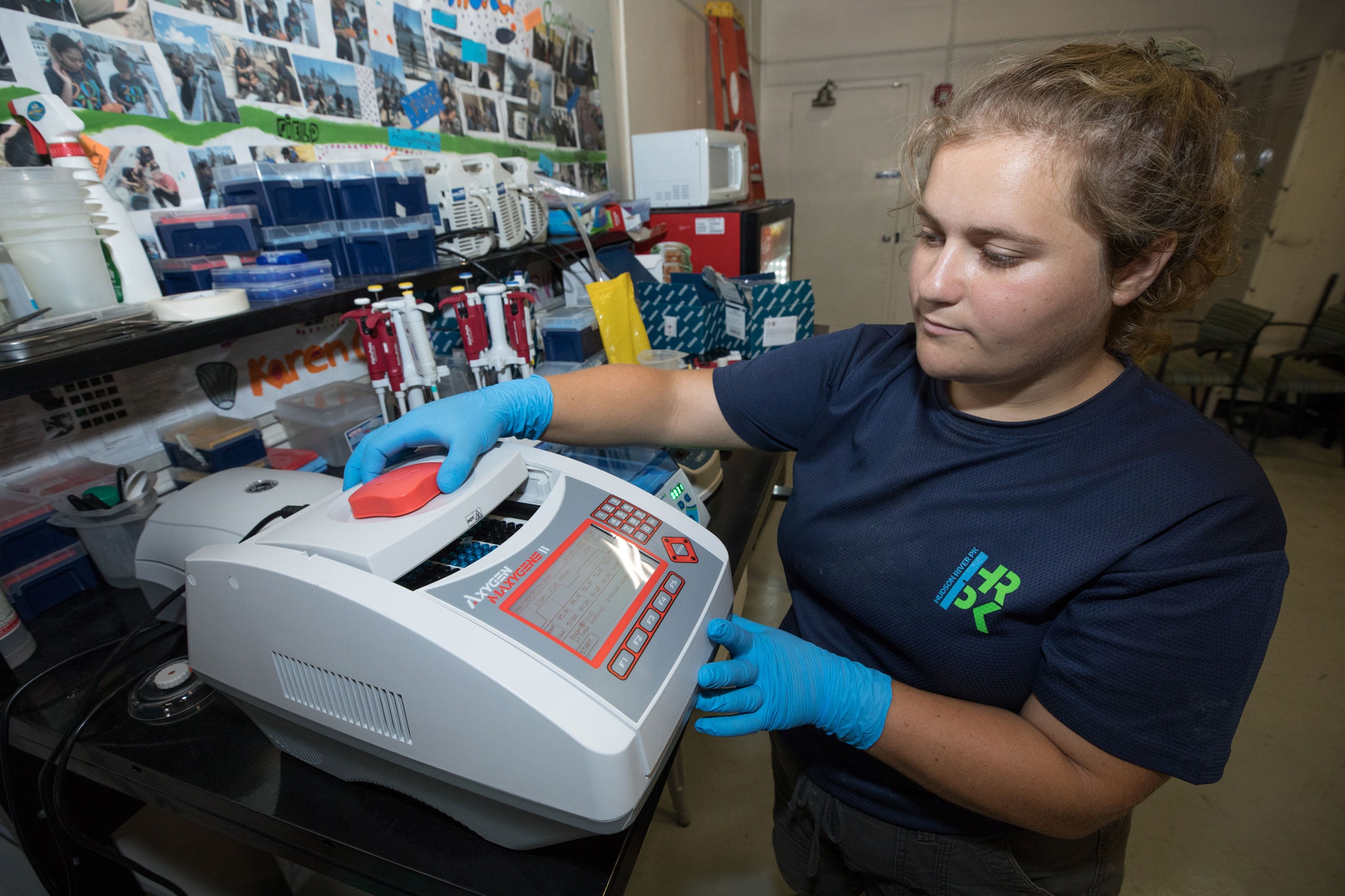 Scientists test samples of environmental DNA to study Hudson River Park local fish dynamics.