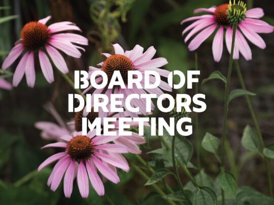 Board of Directors Meeting