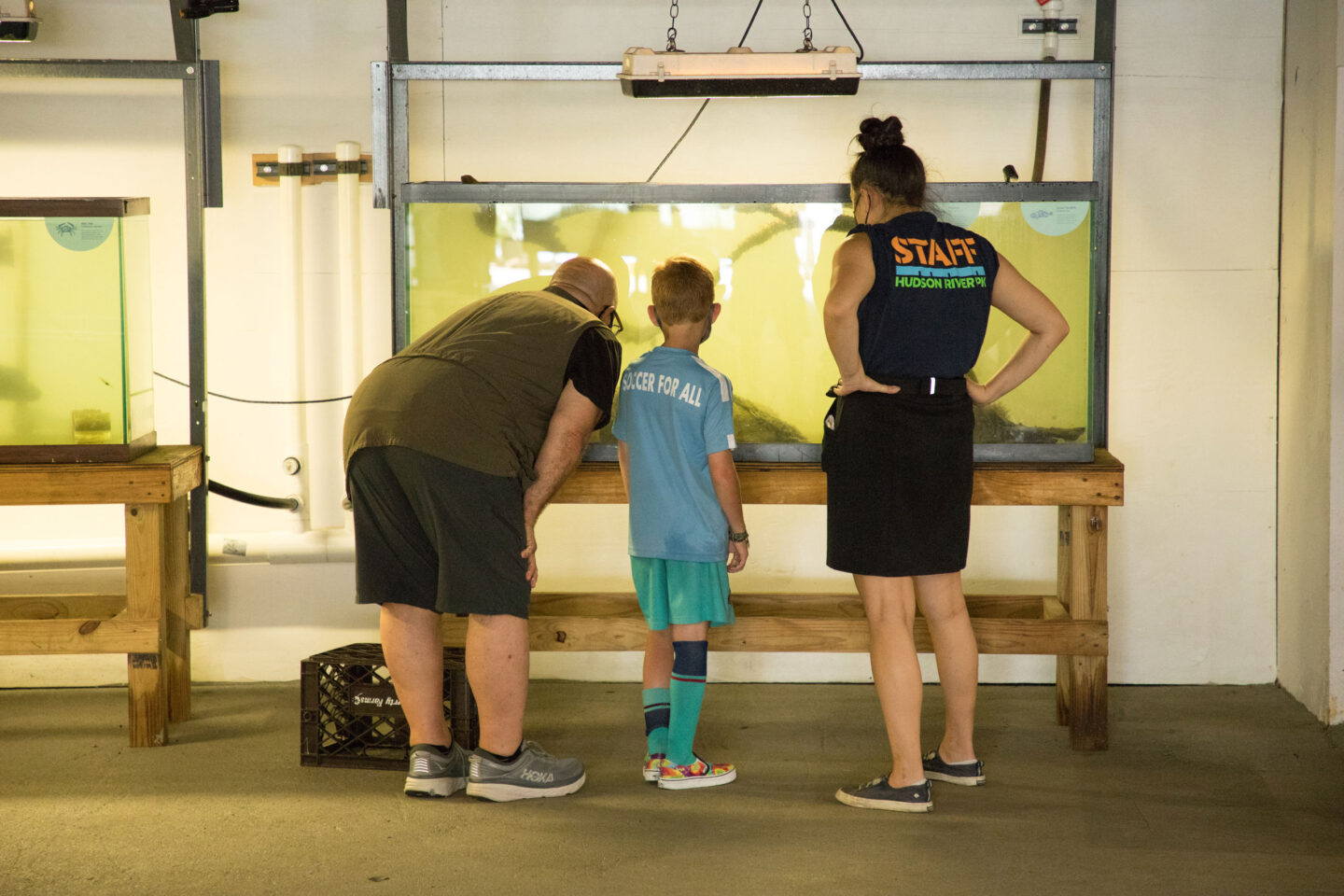River Project staff looks on as man and son examine the wildlife in the Wetlab at Hudson River Park SUBMERGE
