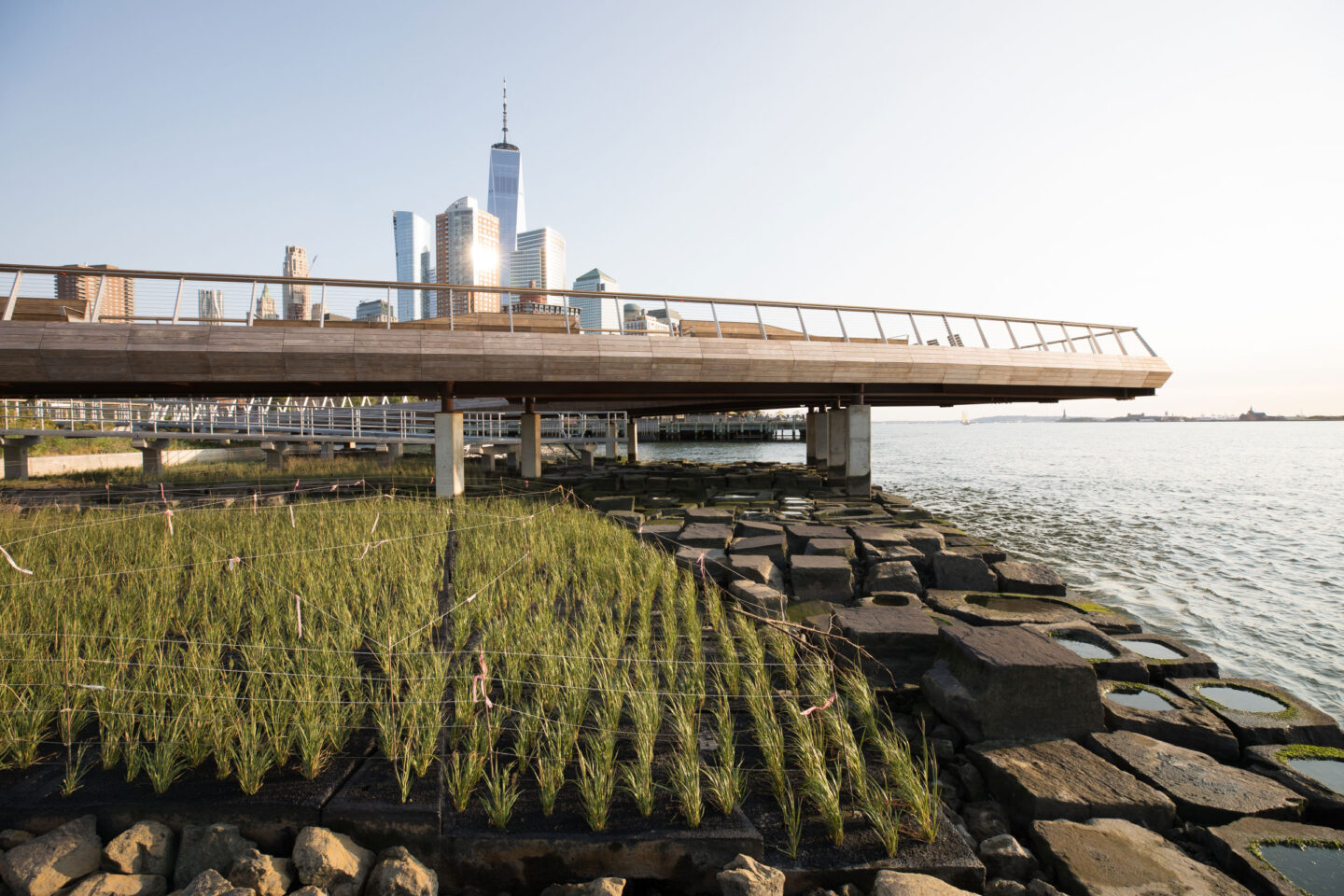Pier 26 Tide Deck coastal environment at Hudson River Park