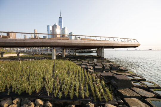 Pier 26 Tide Deck coastal environment at Hudson River Park