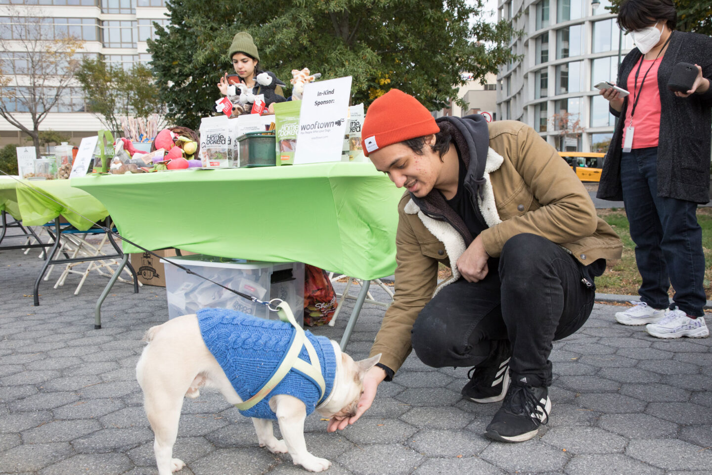 Man gives a french bulldog a treat at Hudson River Park's Barktoberfest