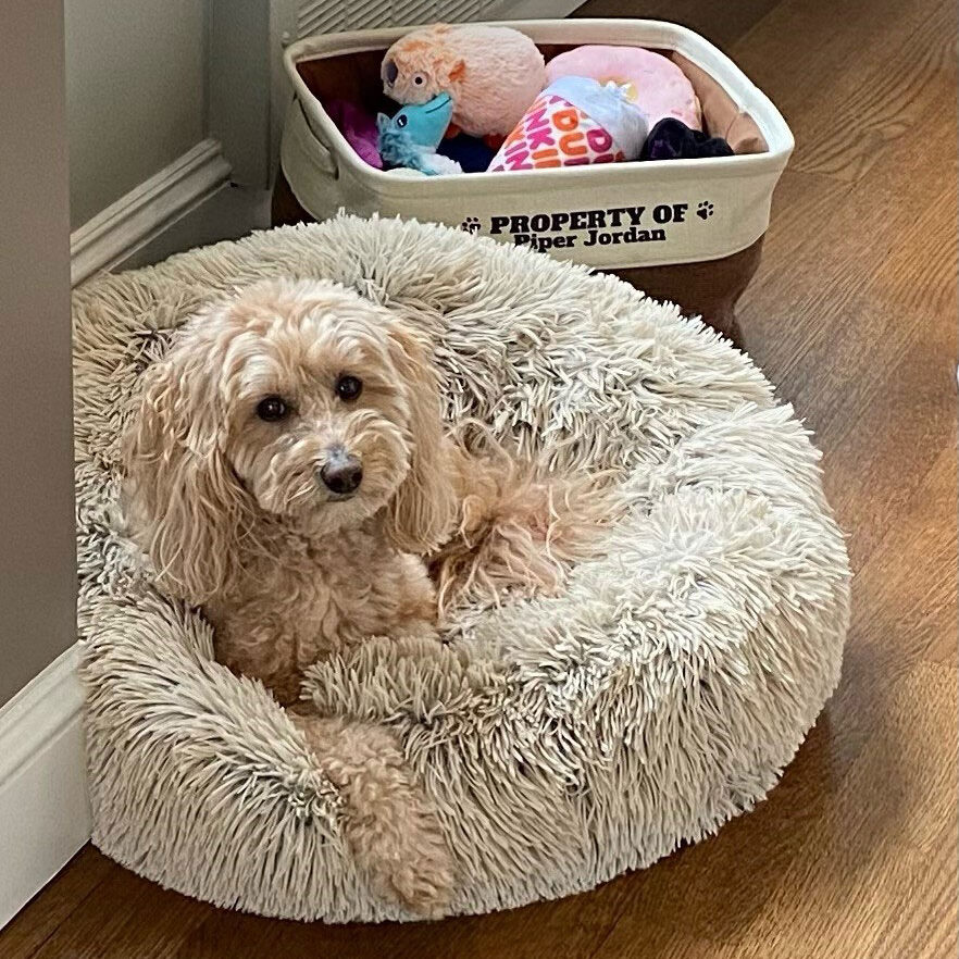 piper good dog gallery on pouf