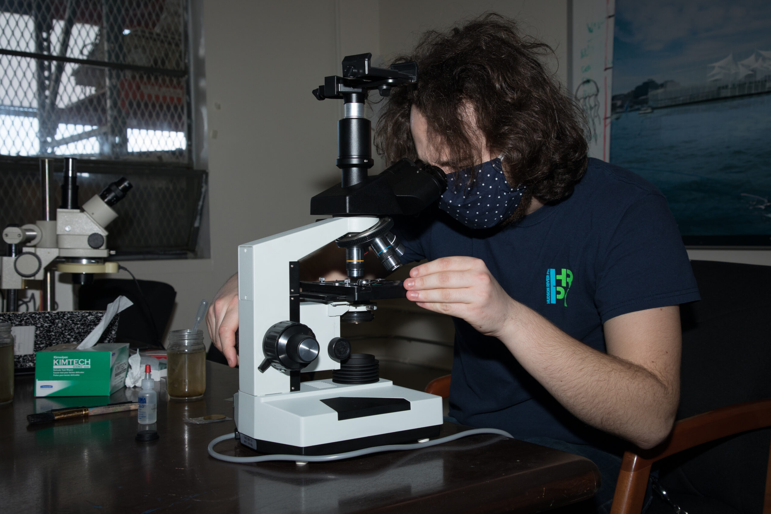 live from the field plankton