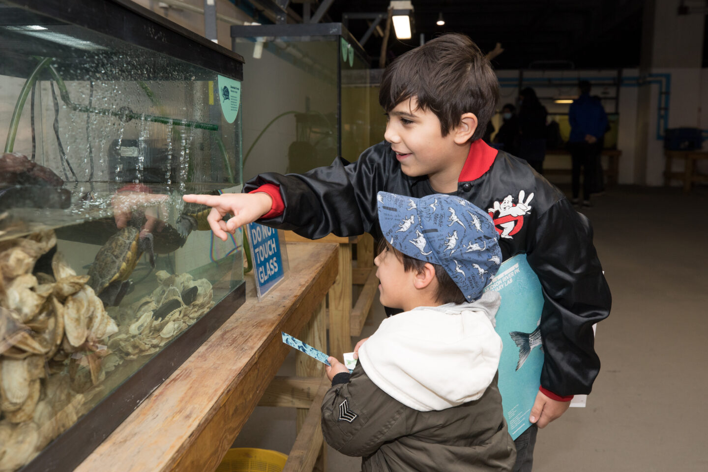wetlab two young boys looking at tank