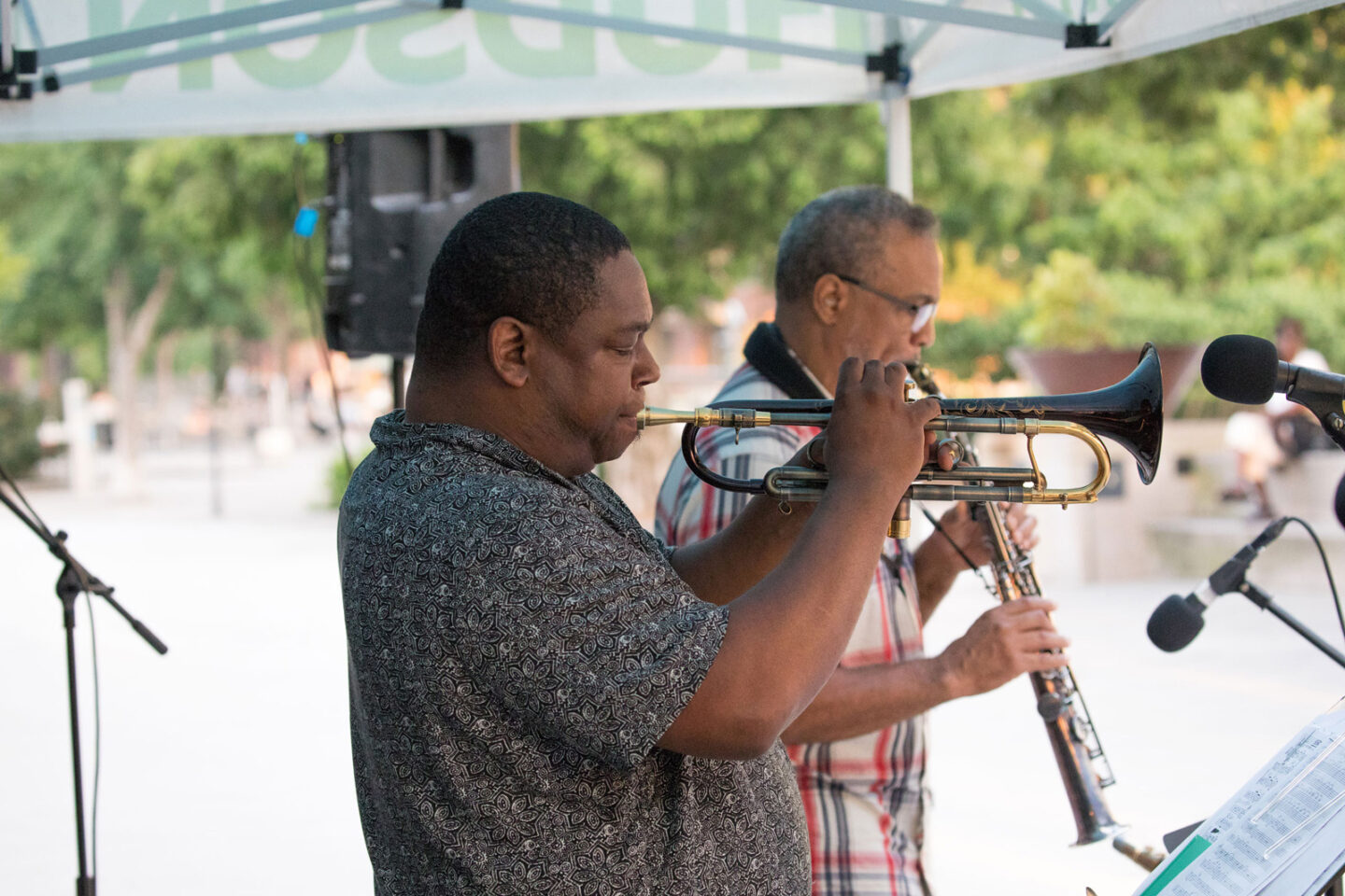 2 musicians