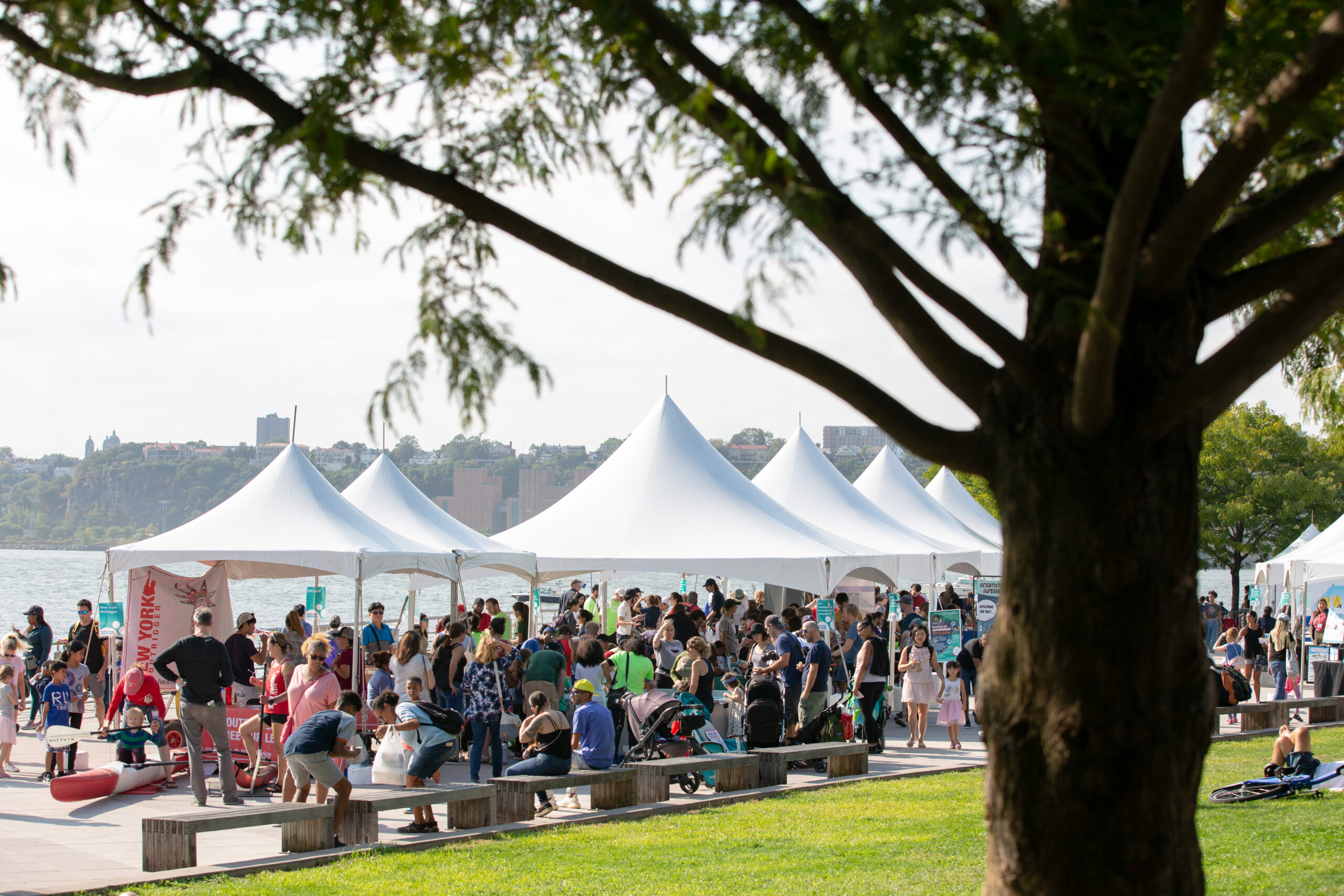 crowd of people look at booths under tents, green lawn and tree in the foreground
