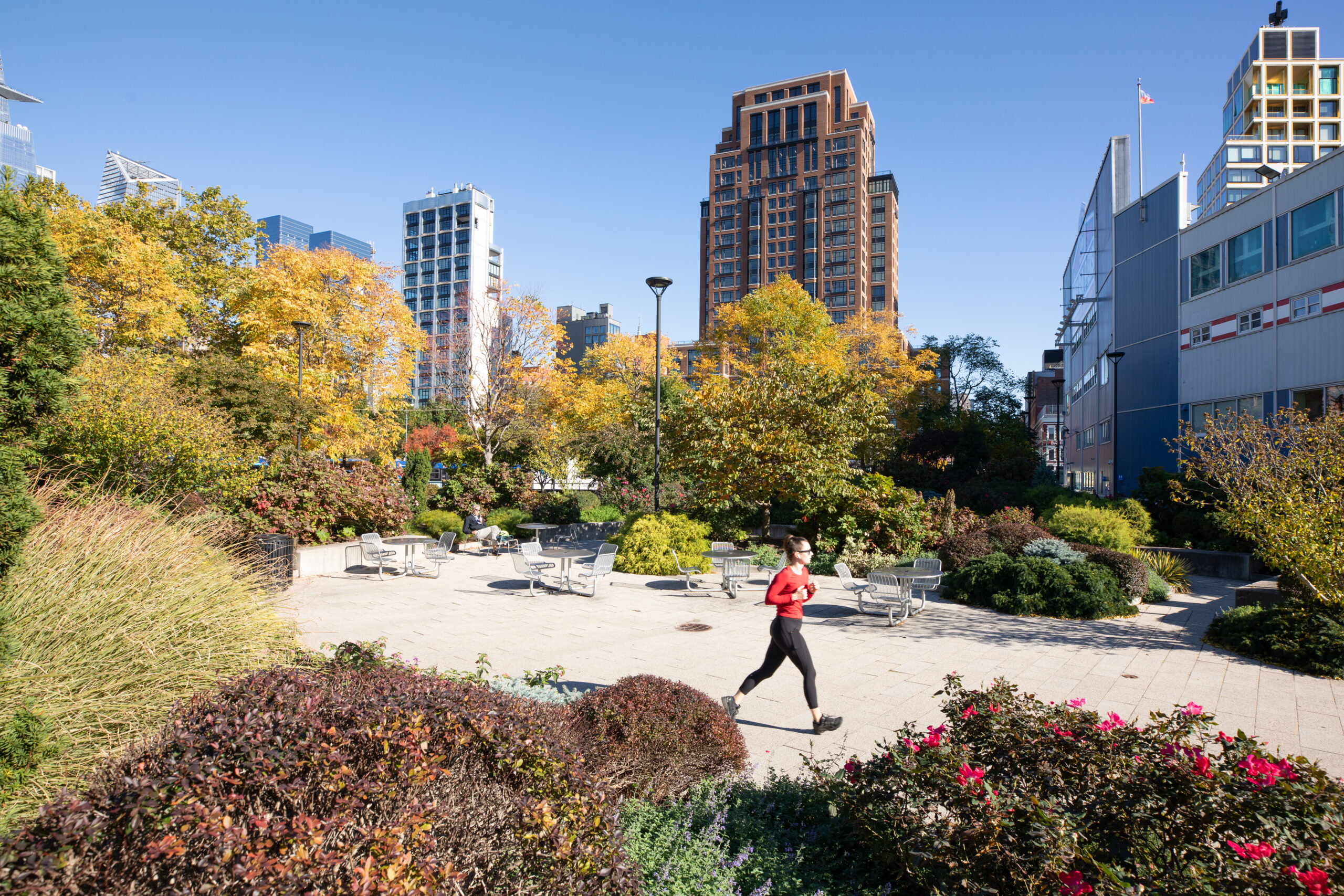 Person runs through Hudson River Park's Chelsea Entry Garden on a sunny fall day